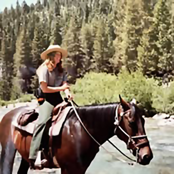 rangering in sequoia national park 1983